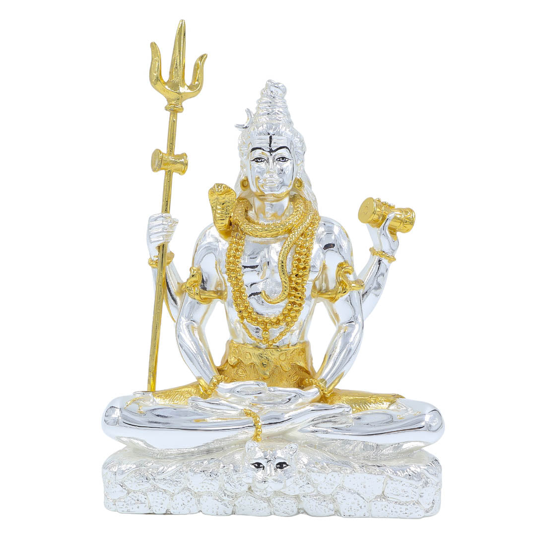 RAIKA'S SITTING SHANKAR 3089 TWO TONE