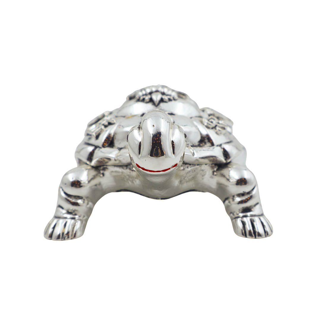 Raika's Vastu Tortoise Silver Antiq