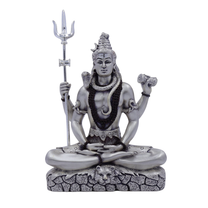 Lord Shiva Idol | Matt